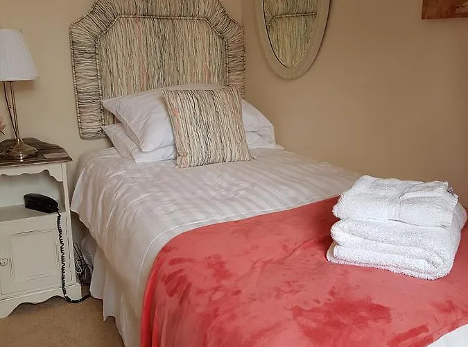 Hotel Le Lion Verd 3*